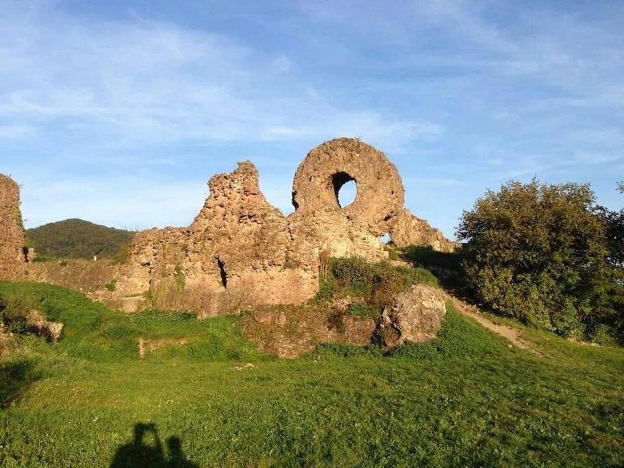 Gite Le Bambou Jama Aspach-le-Haut Exteriér fotografie