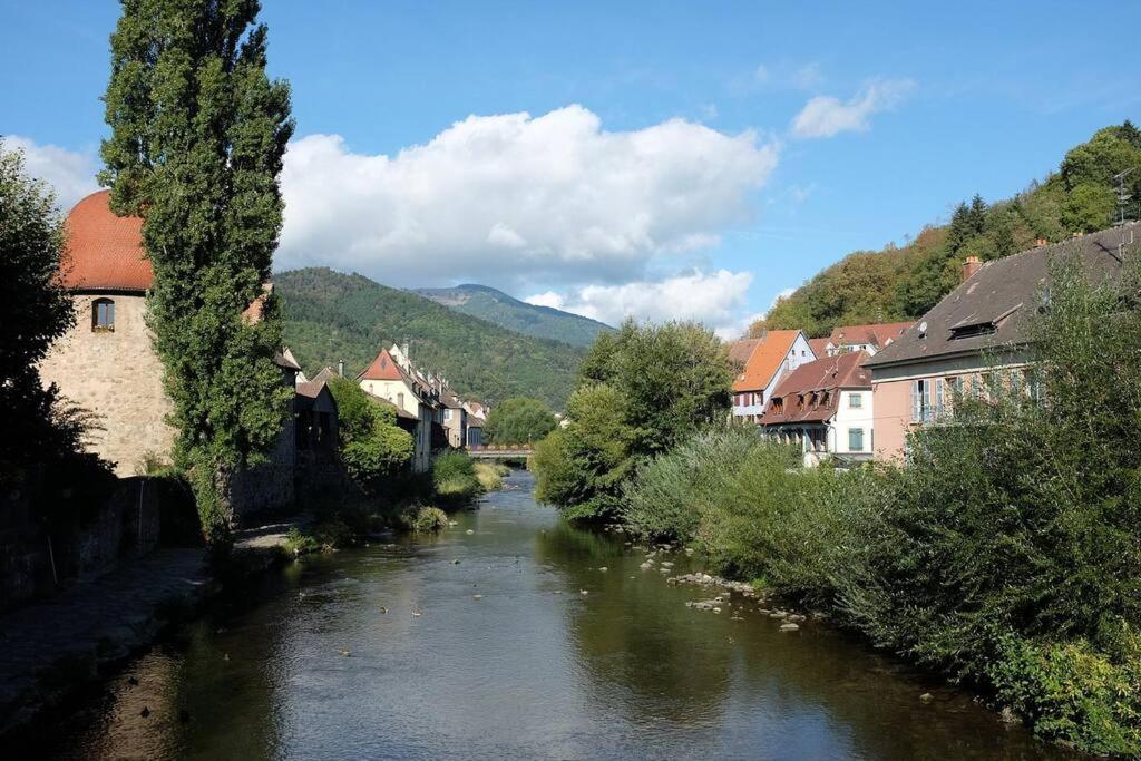 Gite Le Bambou Jama Aspach-le-Haut Exteriér fotografie
