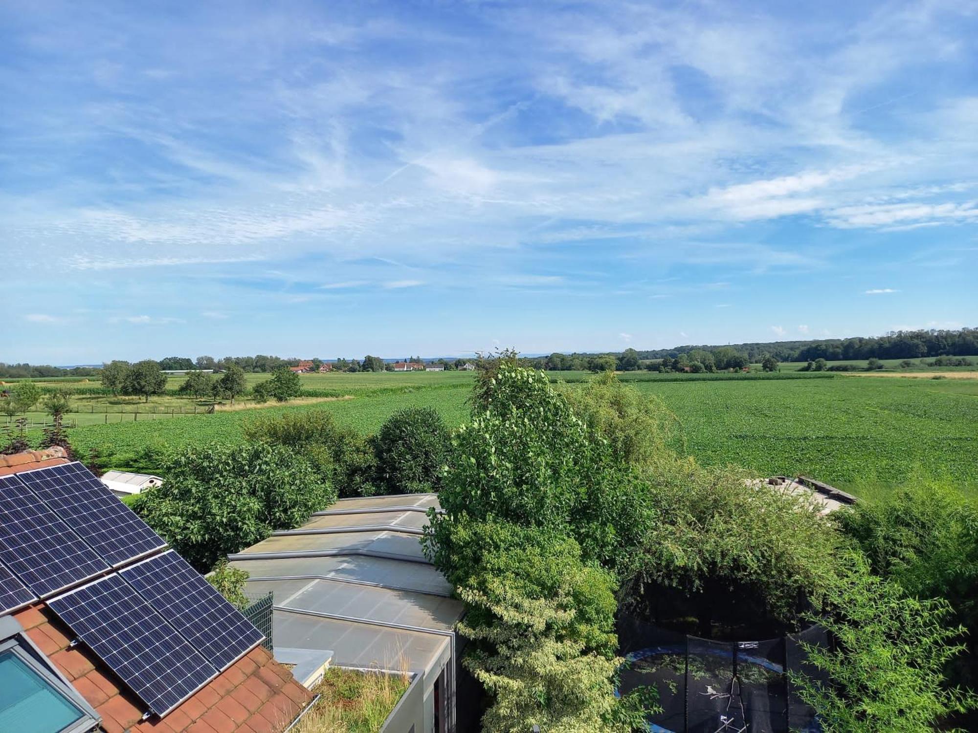 Gite Le Bambou Jama Aspach-le-Haut Exteriér fotografie